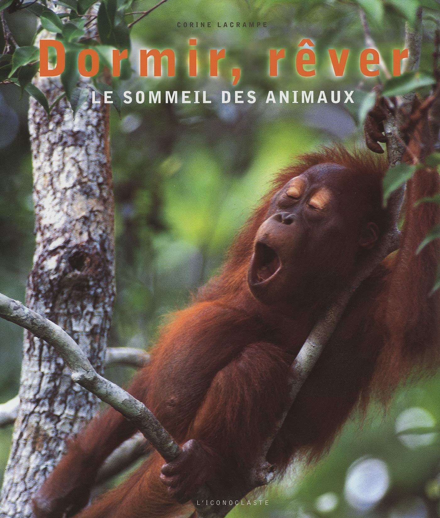 Dormir, Rever. Le Sommeil Des Animaux Books