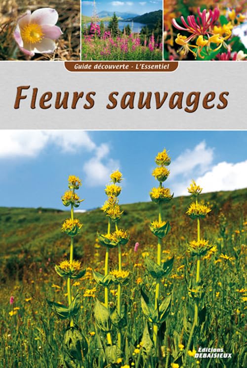 Guide découverte FLEURS SAUVAGES book