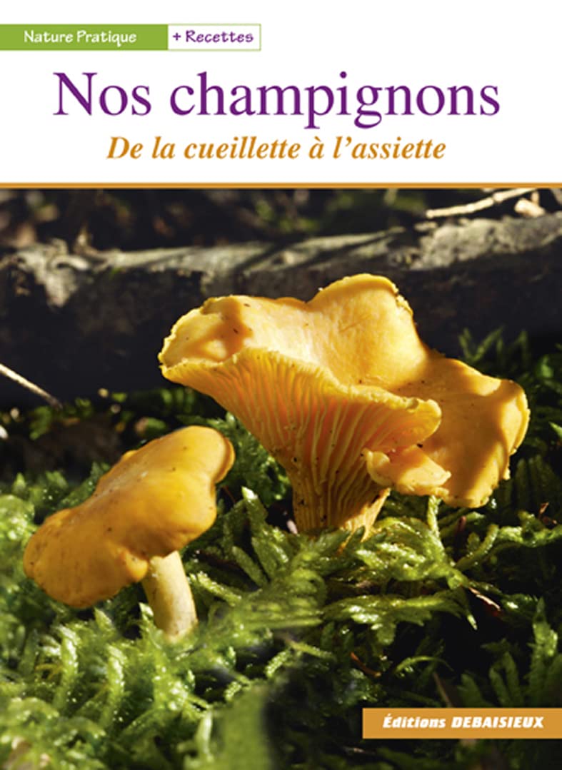 Nos champignons : De la cueillette à l'assiette Leisure, Home & Garden