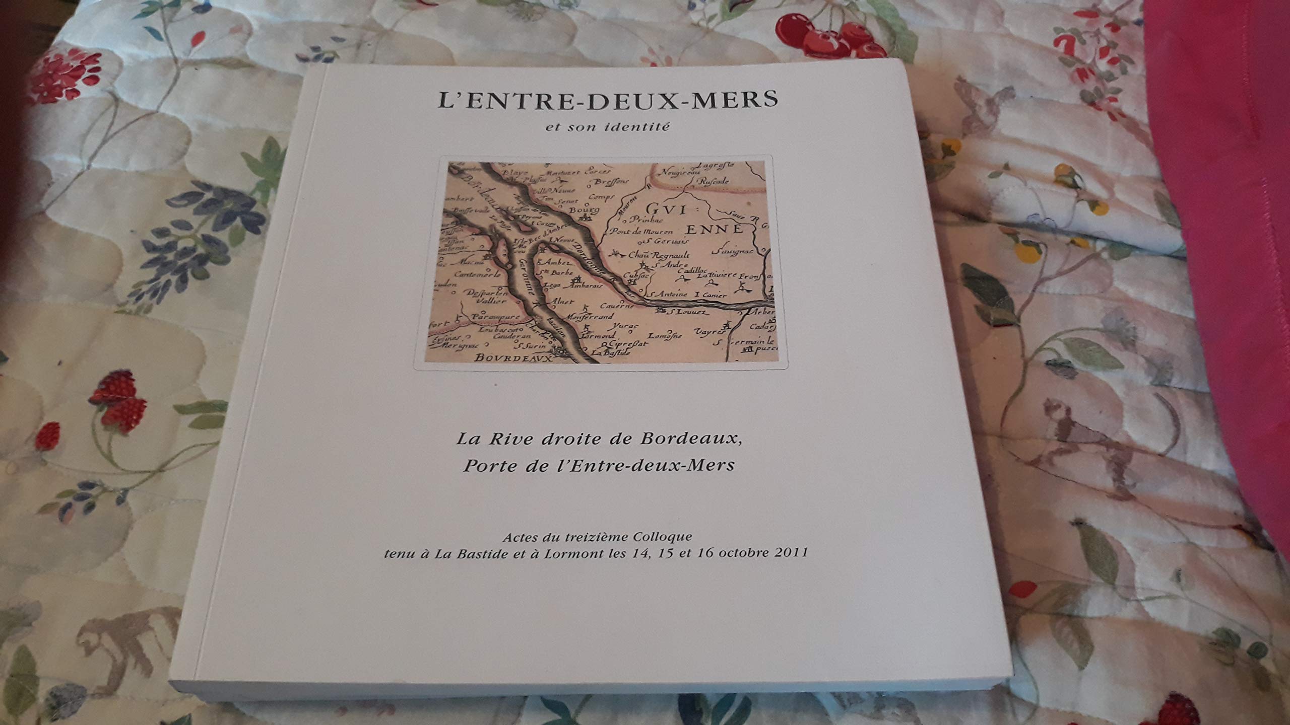 l'entre deux mers a la recherche de son identité la rive droite de bordeaux , actes du 13eme colloque tenu a la bastide et a lormot 2011 book