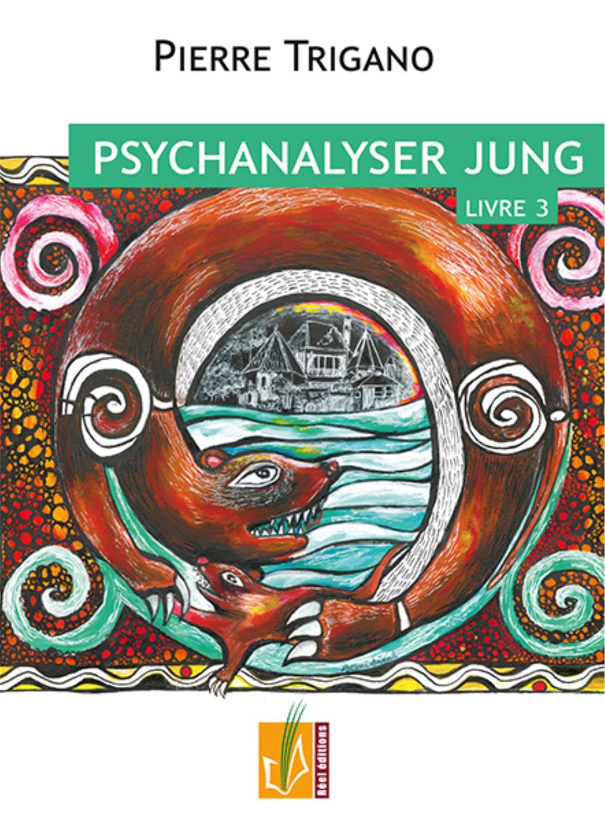 PSYCHANALYSER JUNG - LIVRE 3 book