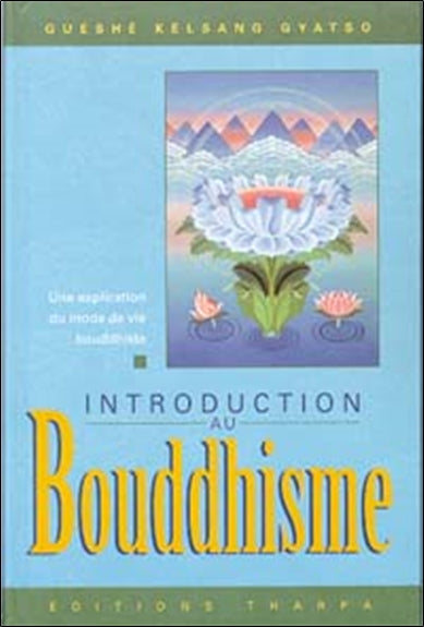 Introduction au bouddhisme : une explication du mode de vie bouddhiste book