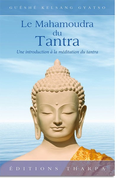 Le mahamoudra du tantra : le nectar suprême du joyau du coeur Religion & Esotericism