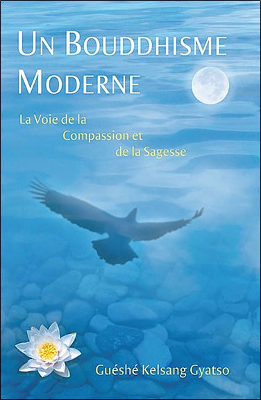 Un bouddhisme moderne : la voie de la compassion et de la sagesse Religion & Esotericism