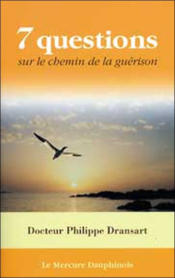 Sept questions sur le chemin de la guérison book