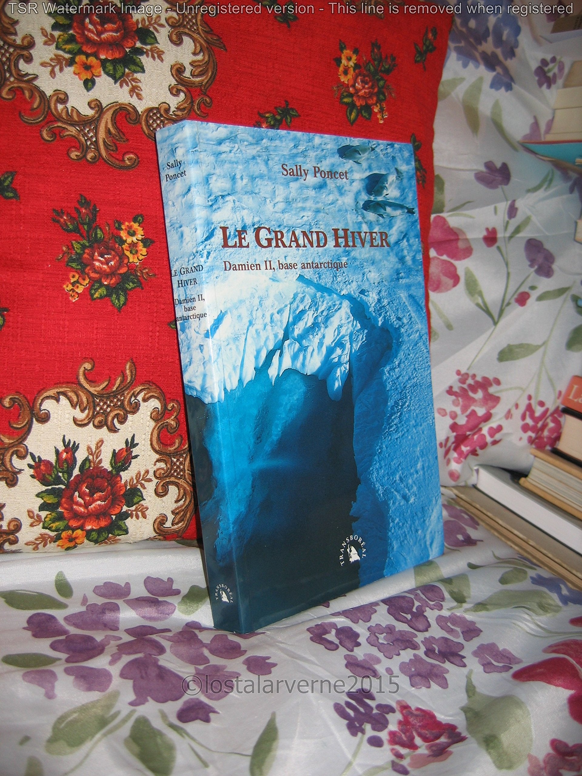 Le Grand Hiver. Damien Ii, Base Antarctique Books
