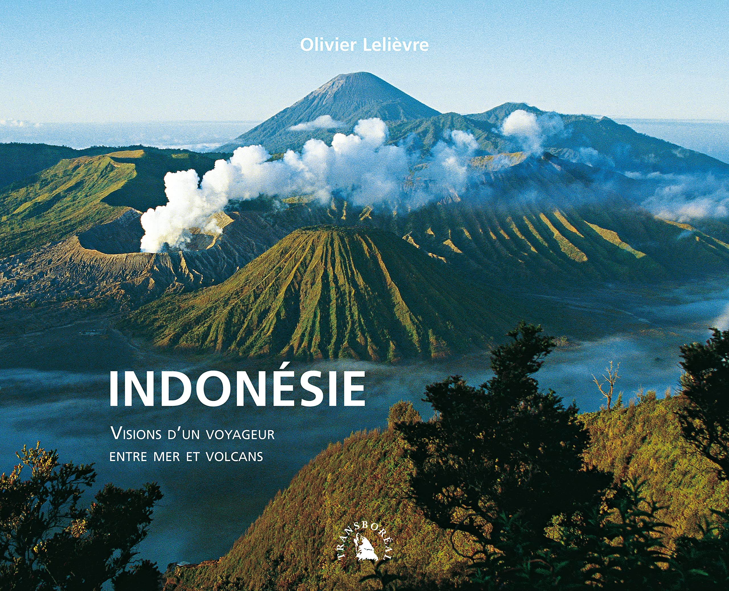 INDONESIE. VISIONS D'UN VOYAGEUR ENTRE MERS ET VOLCANS: Visions d'un voyageur entre mer et volcans Leisure, Home & Garden
