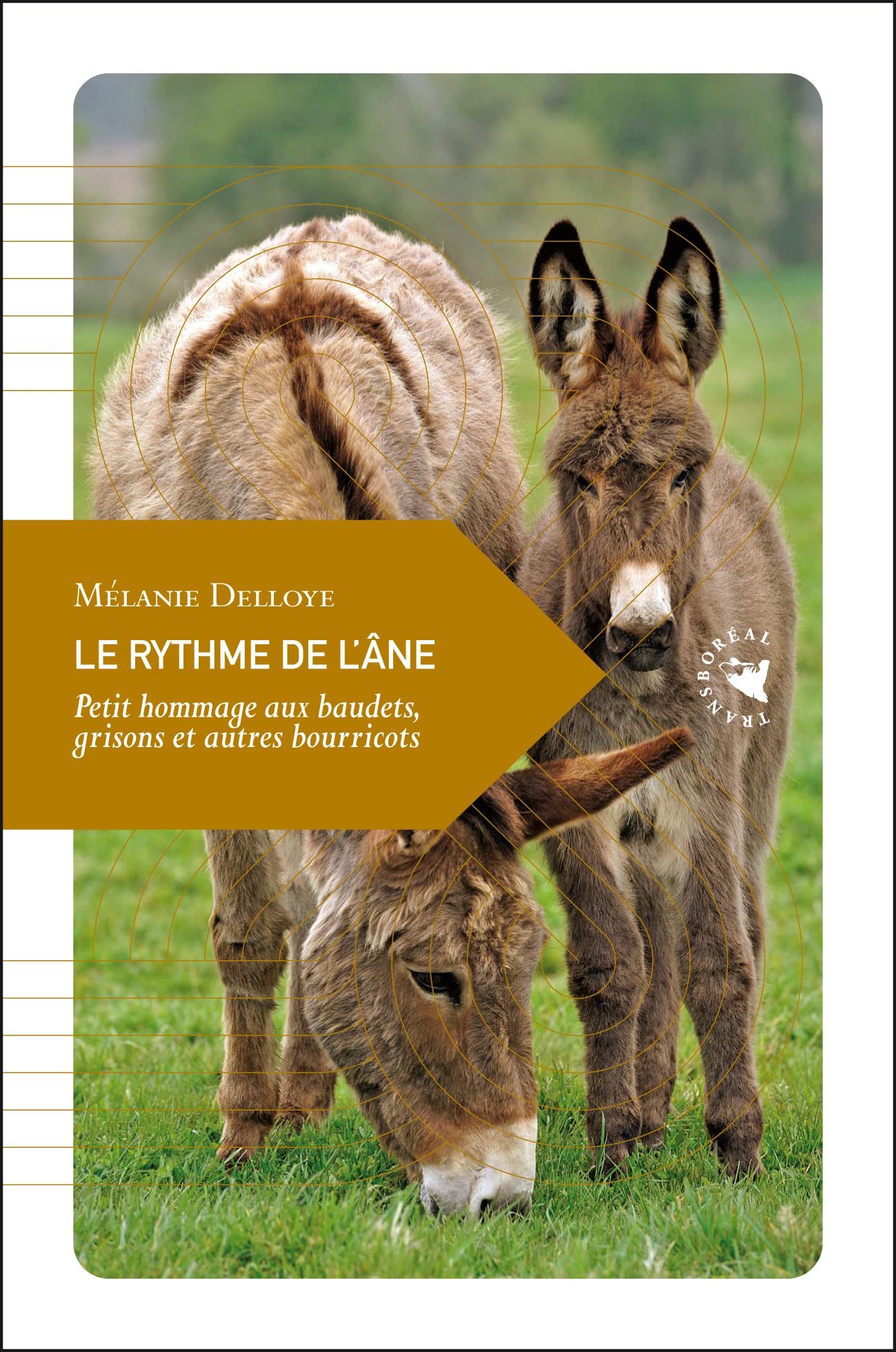 LE RYTHME DE L'ANE: Petit hommage aux baudets, grisons et autres bourricots Leisure, Home & Garden