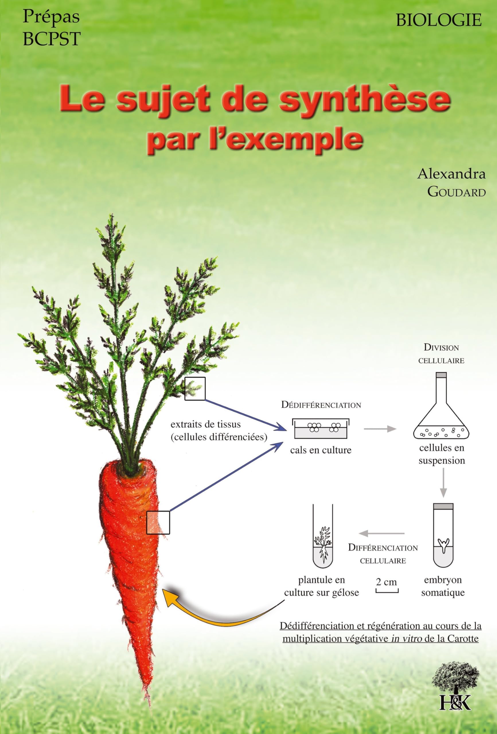 Le sujet de synthèse par l'exemple: biologie Learning & Reference