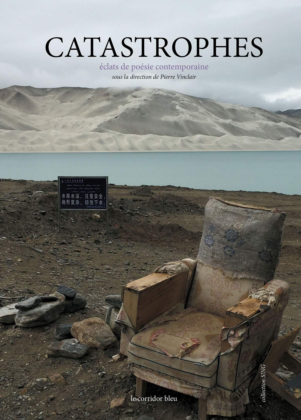 CATASTROPHES ECLATS DE POESIE CONTEMPORAINE book