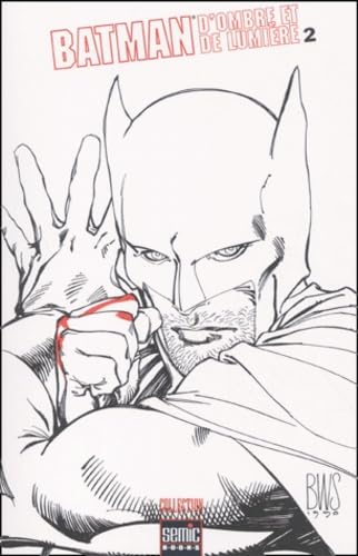 Batman. D'Ombre Et De Lumiere, Tome 2 book