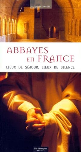Abbayes en France.: Lieux de séjour, lieux de silence book