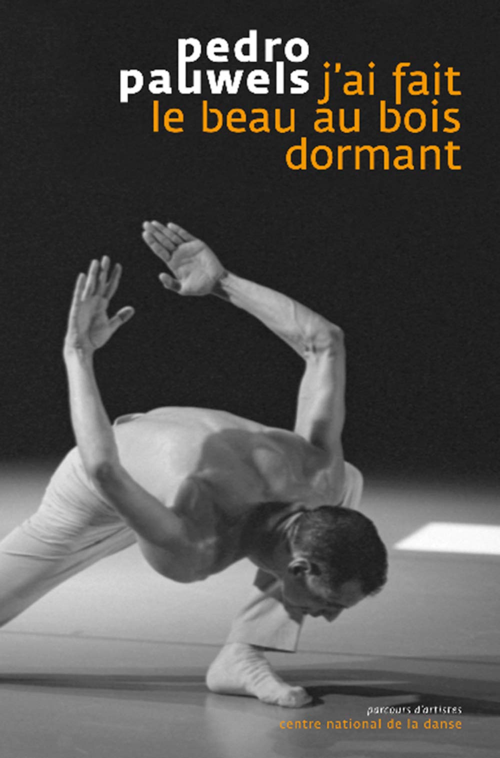 J ai fait le beau au bois dormant book