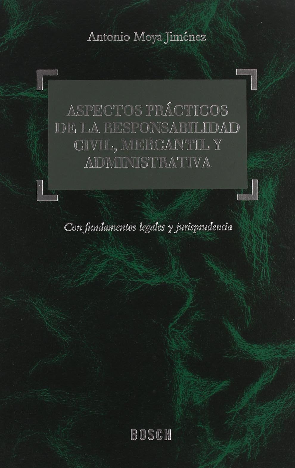 Aspectos prácticos de la responsabilidad civil, mercantil y administrativa : con fundamentos legales y jurisprudencia: Fundamentos legales, jurisprudencia y formularios Law