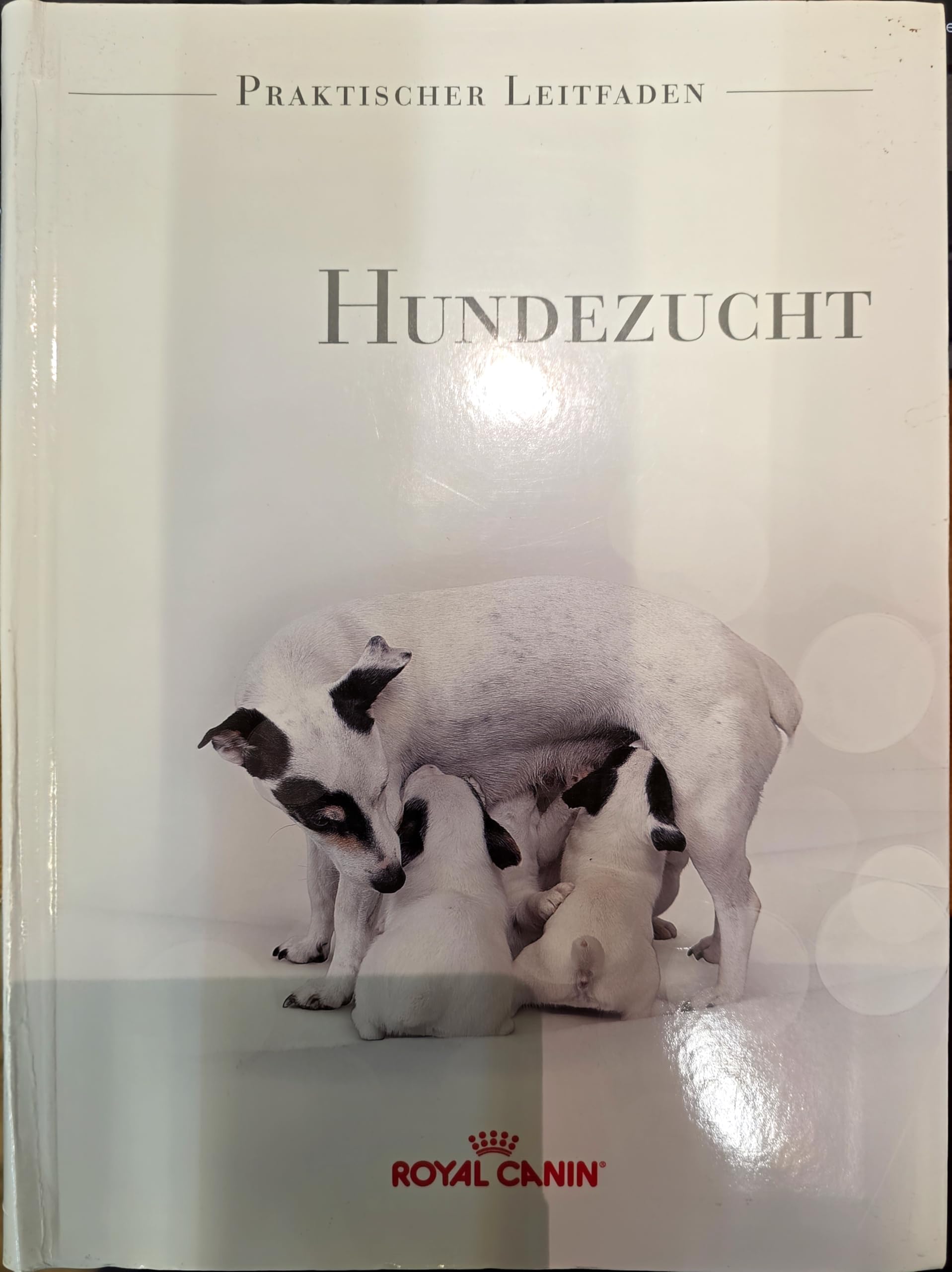 Dominique Grandjean: Praktischer Leitfaden Hundezucht Pets