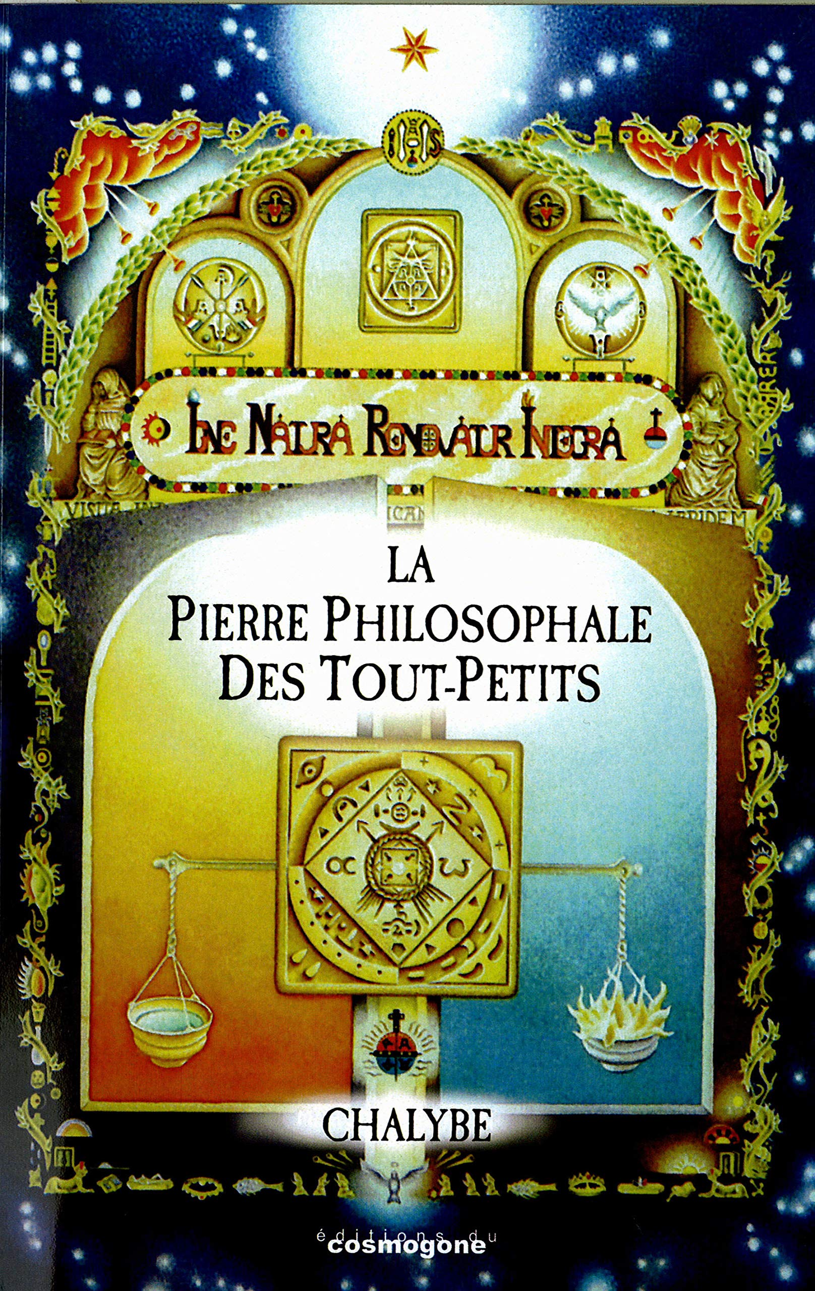 La pierre philosophale des tout-petits: Ou Traité comme il n'y en eut jamais de comparable jusqu'à ce jour, révélant la Médecine universelle propre aux trois règnes book