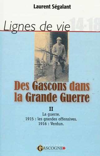 Des Gascons dans la Grande Guerre: Tome 2, La guerre book