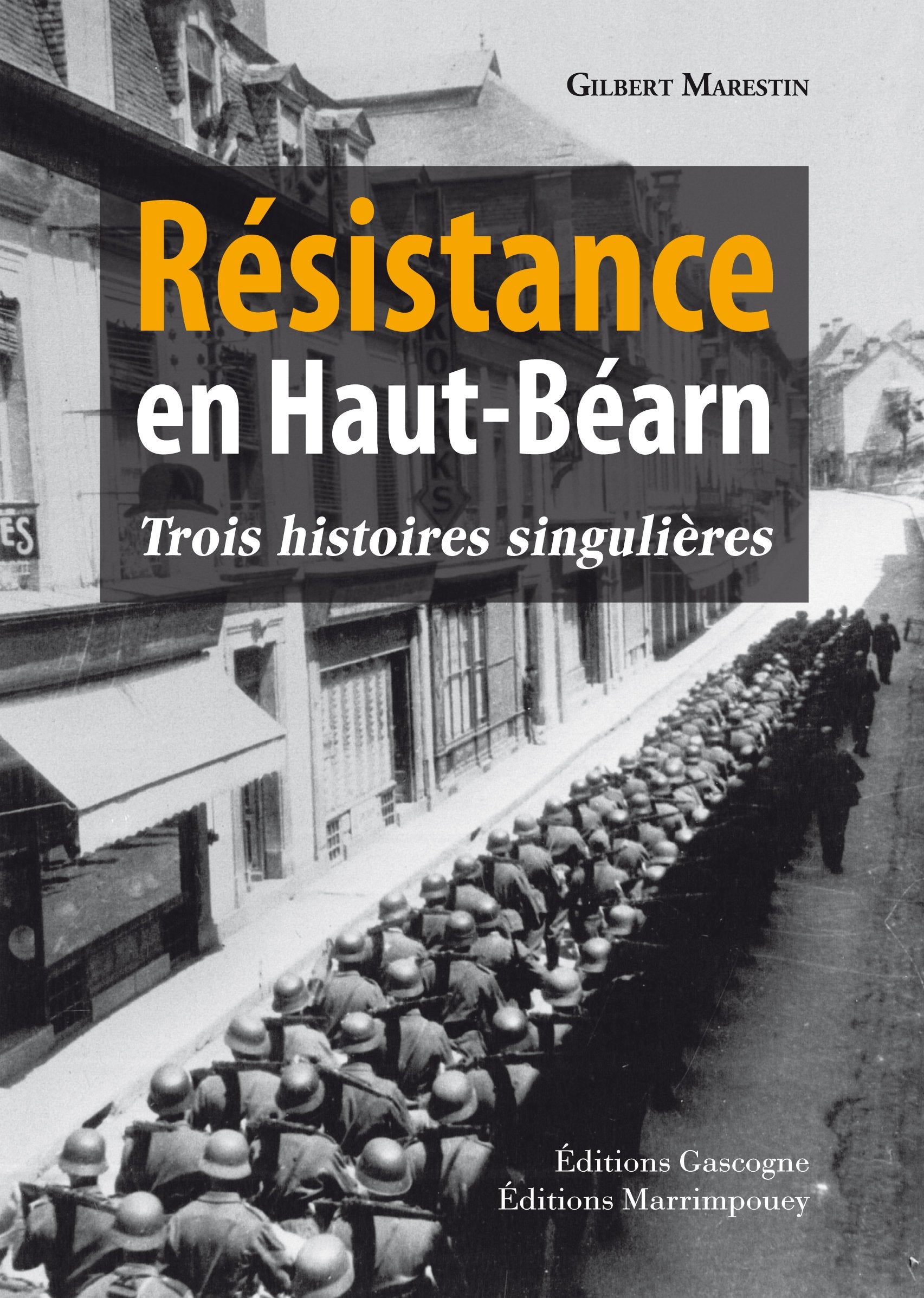 Résistance en Haut-Béarn - Trois histoires singulières Politics & History