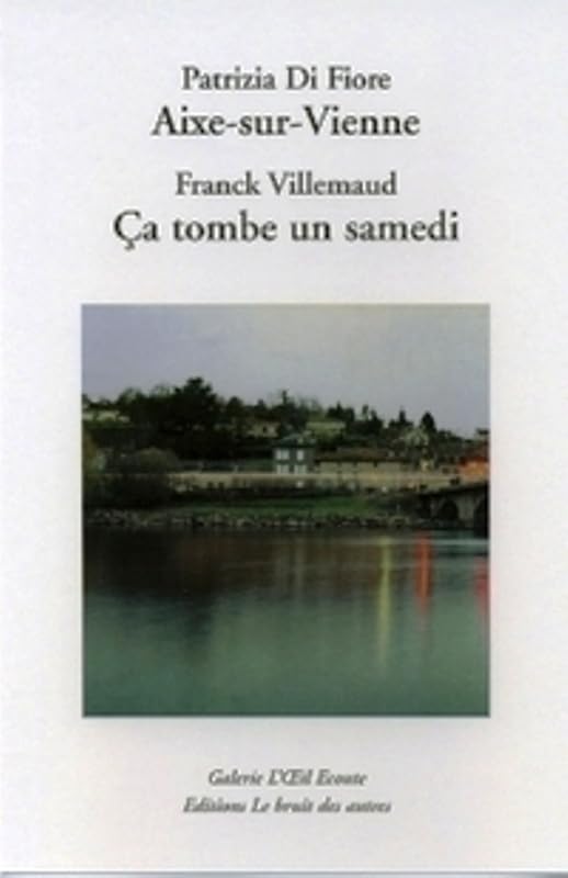 Ca tombe un samedi : roman book