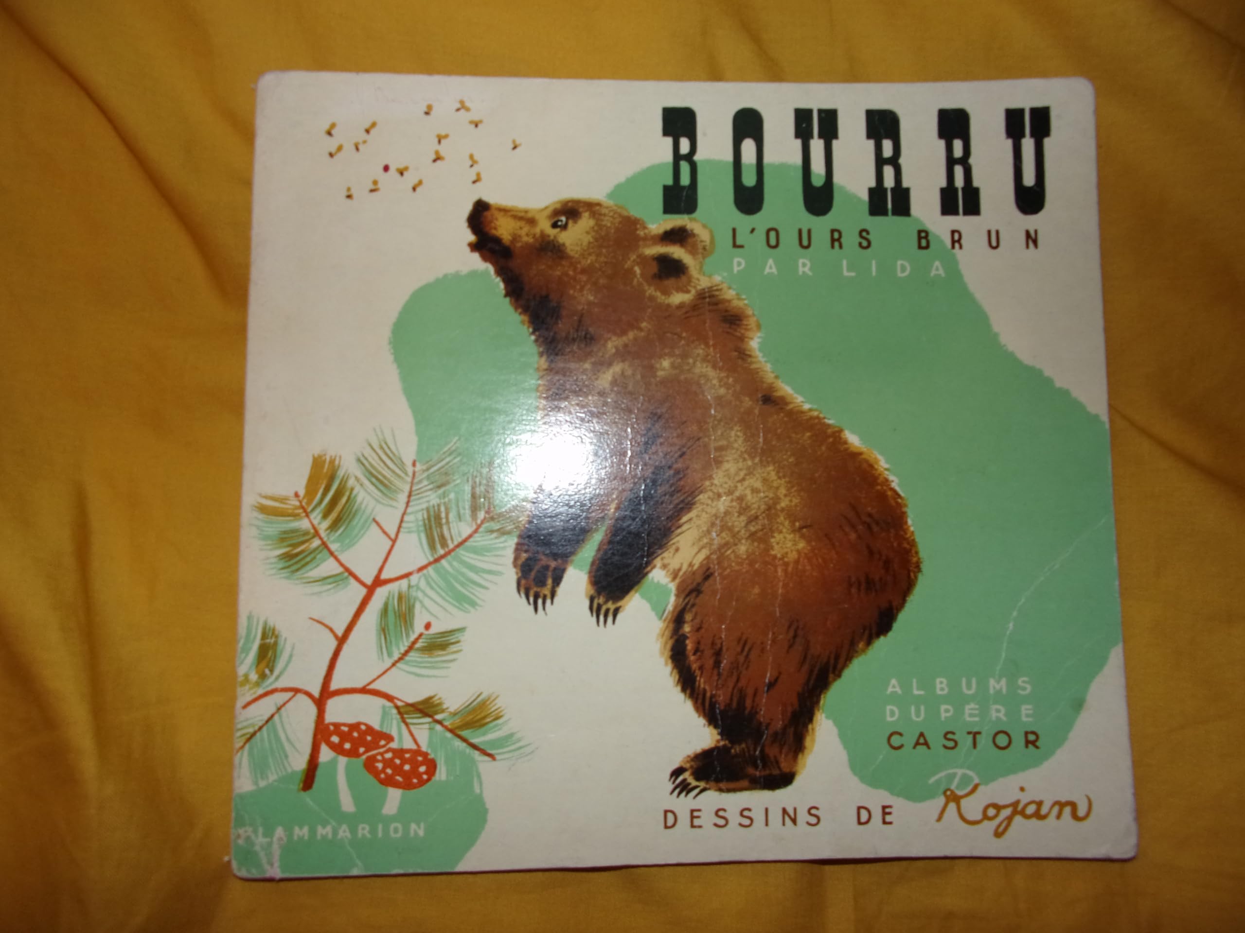 Bourru l'ours brun book