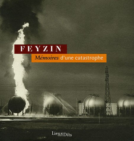 Feyzin: Mémoires d'une catastrophe book