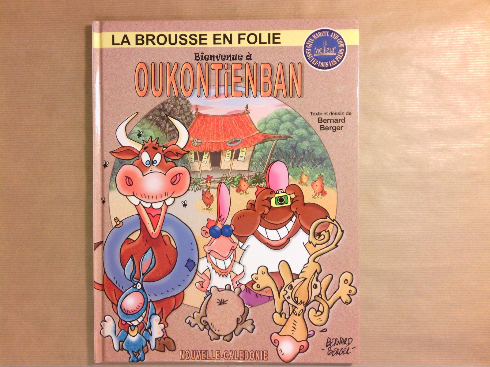 Bienvenue a oukontienban / tome 17 book