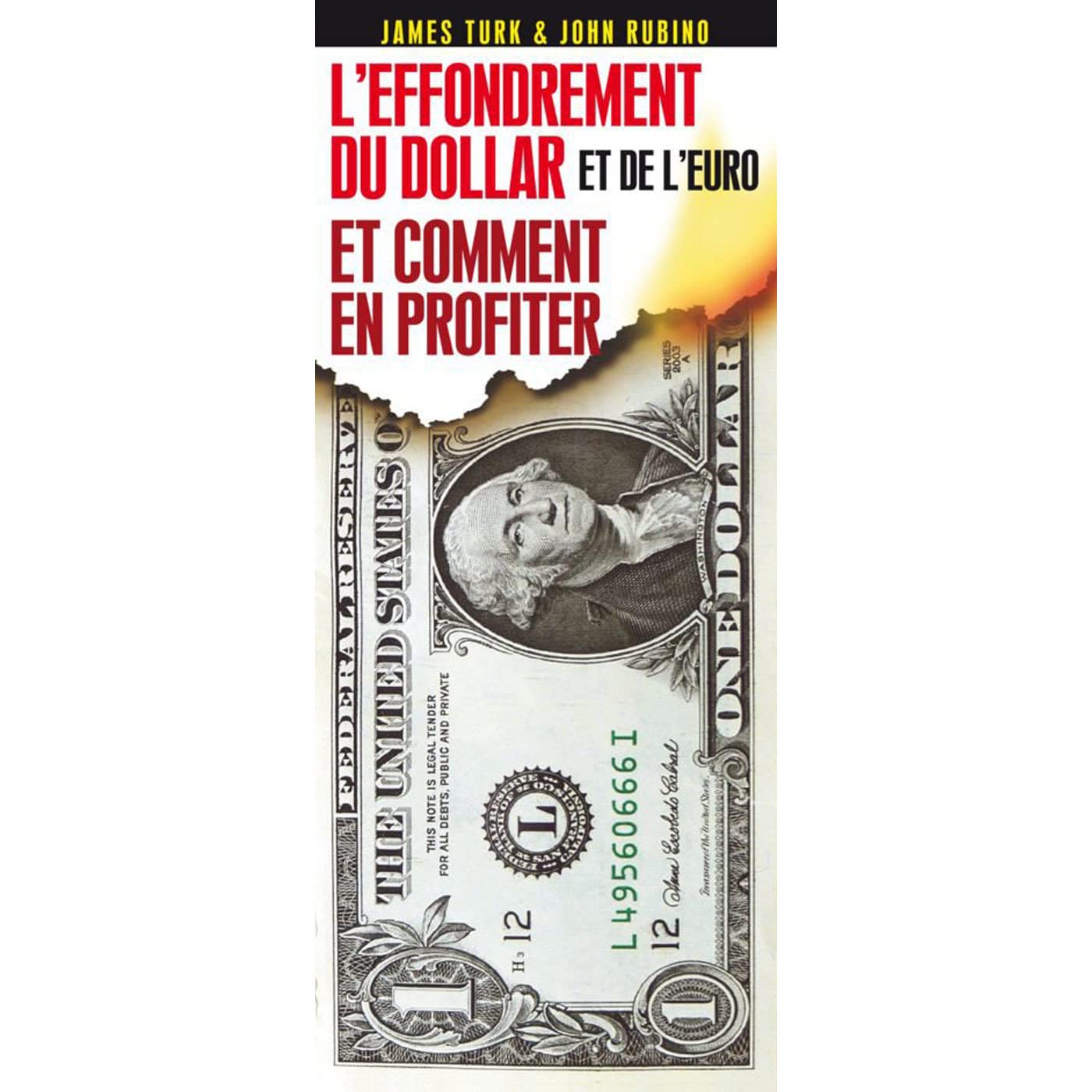 Effondrement du dollar et de l'euro : comment en profiter Books