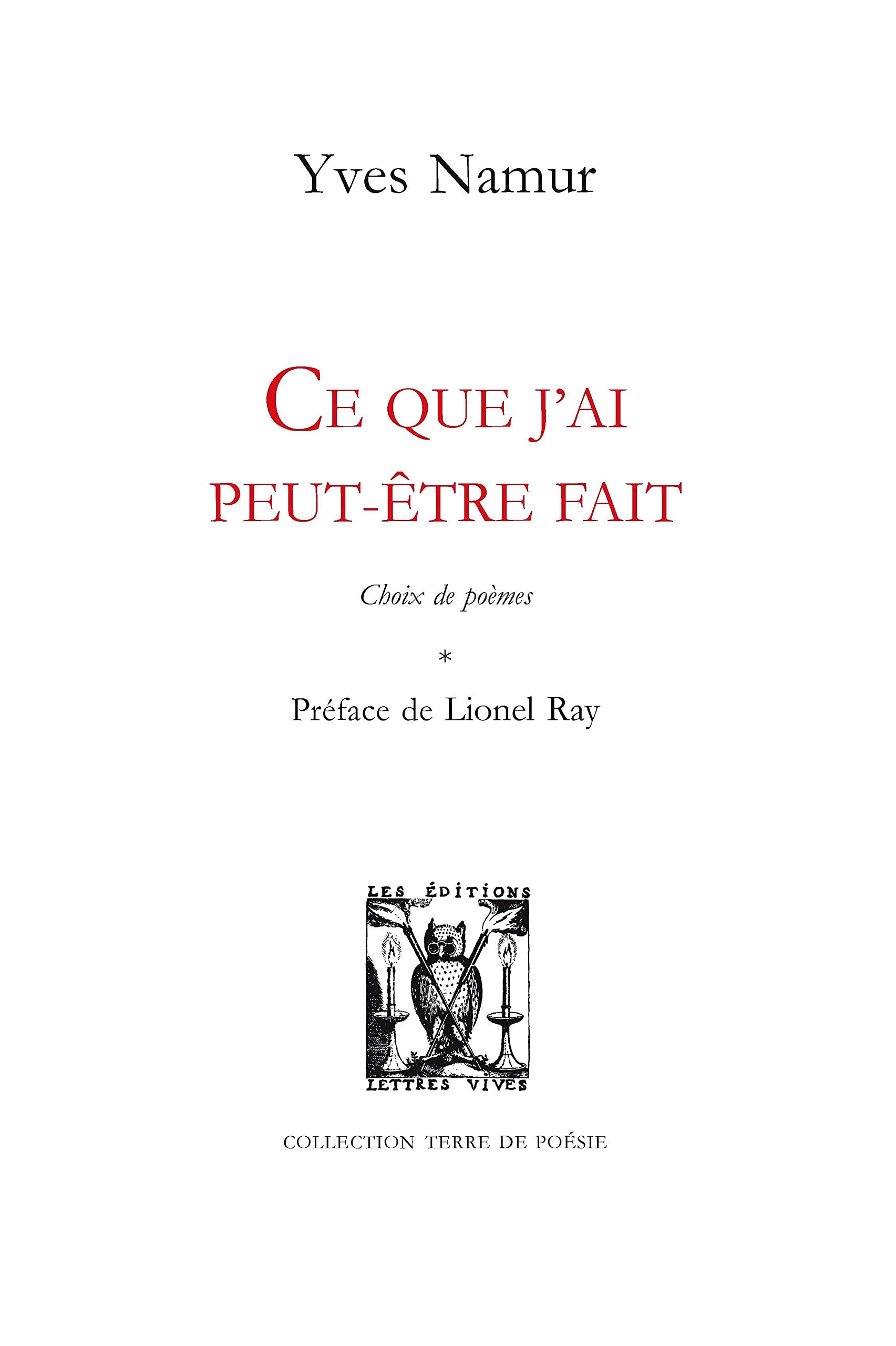 Ce que j'ai peut-être fait book