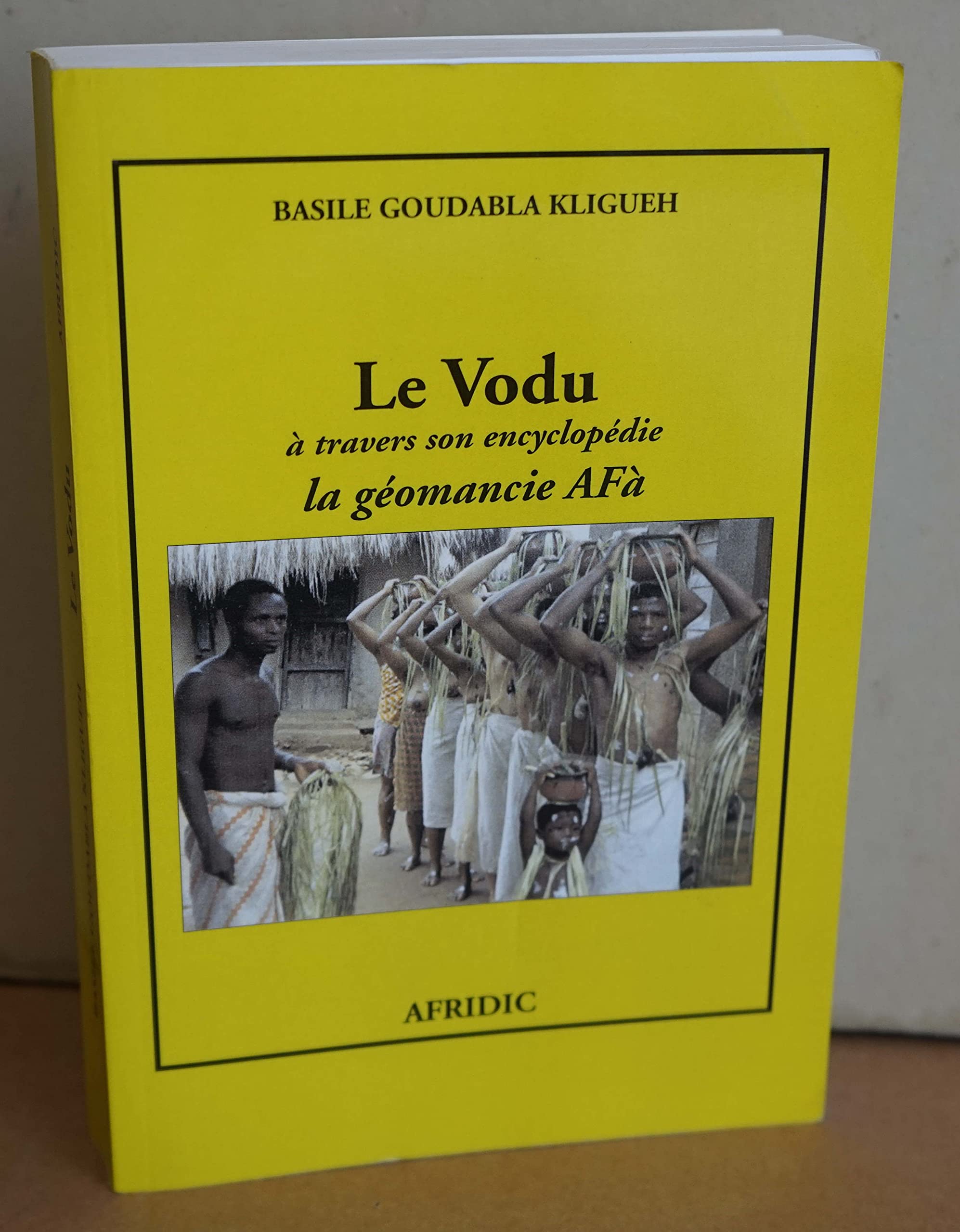 Le vodu : à travers son encyclopédie (Collection Verba) book