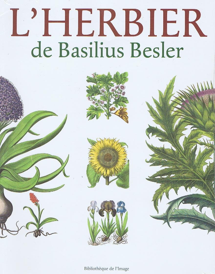 L'Herbier Film, Art & Culture