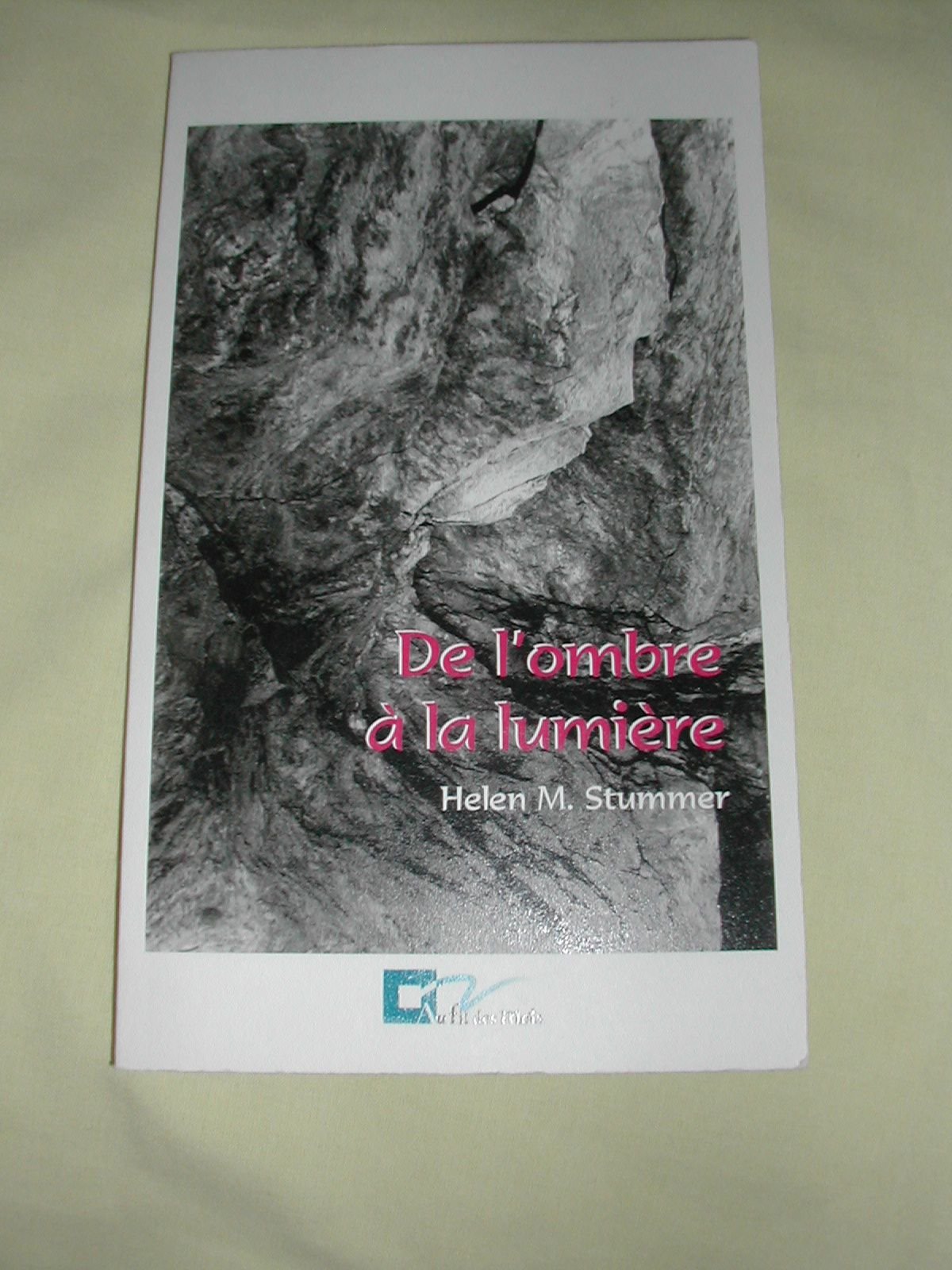 De l'ombre à la lumière : Comment une mère s'est trouvée en recherchant sa fille book