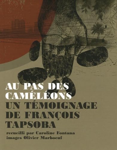 Au pas des caméléons: Un témoignage de François Tapsoba book