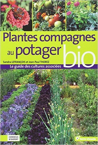 Plantes compagnes au potager bio : le guide des cultures associées Garden & Plants