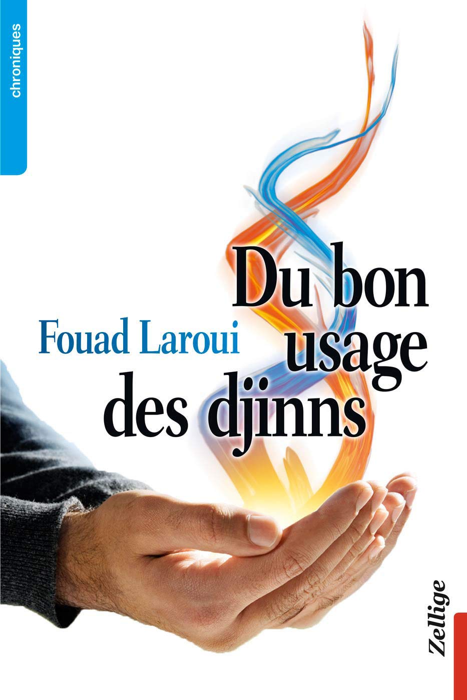 Product Image: Du Bon Usage des Djinns