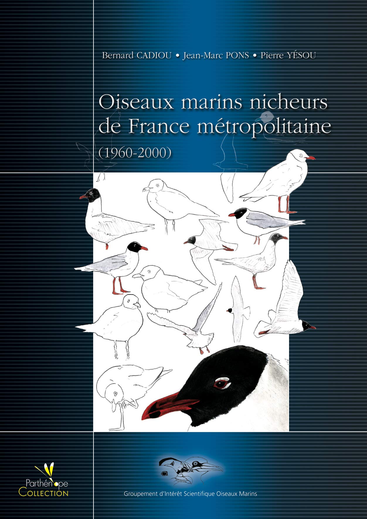 OISEAUX MARINS NICHEURS DE FRANCE METROPOLITAINE (1960-2000) Film, Art & Culture