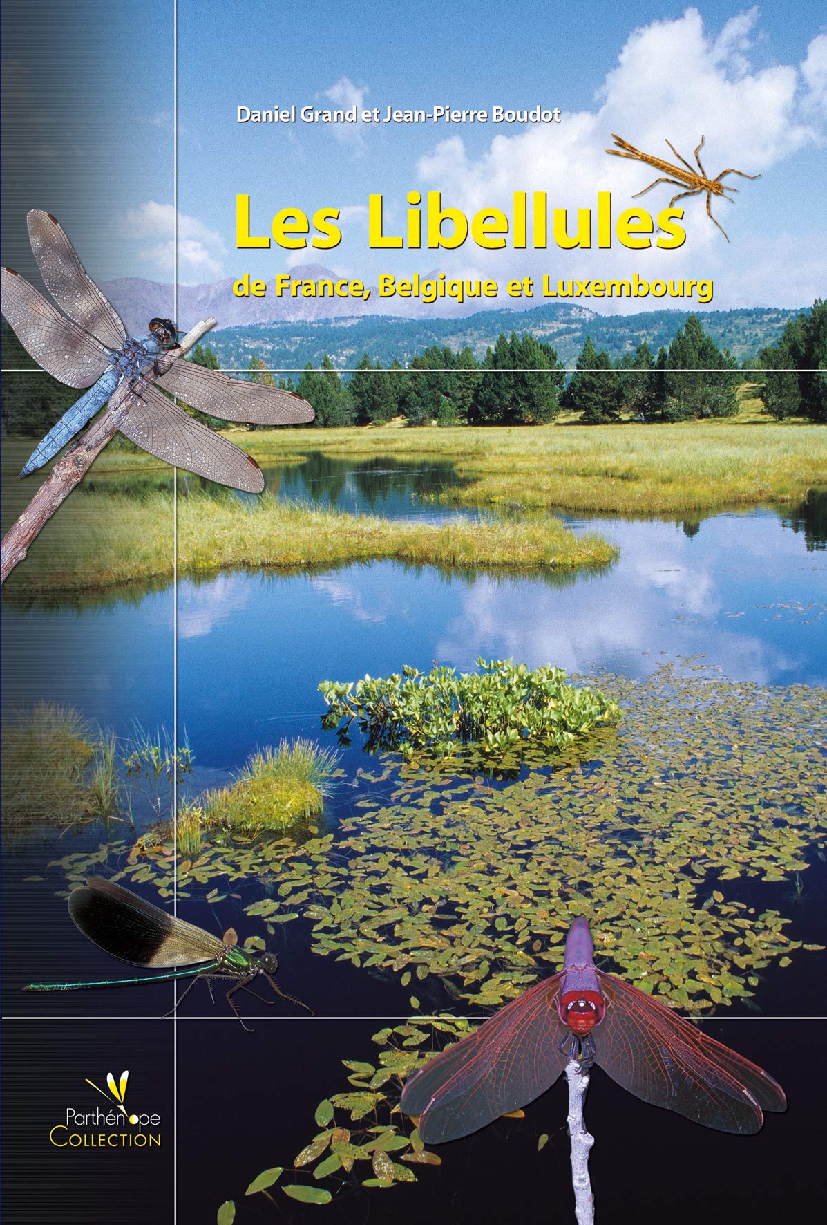 LES LIBELLULES DE FRANCE, BELGIQUE ET LUXEMBOURG Film, Art & Culture