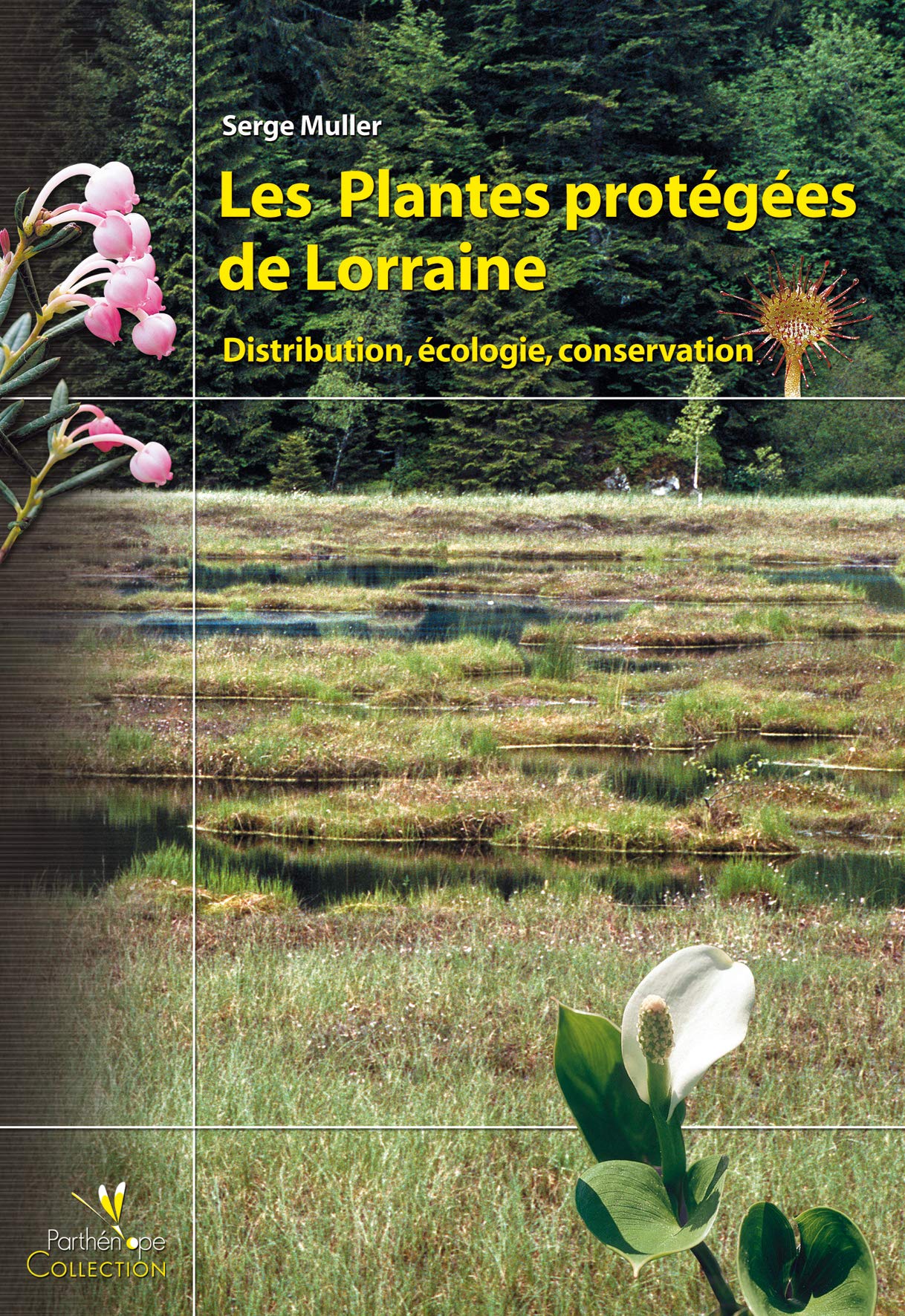 Les Plantes protégées de Lorraine: Distribution, écologie, conservation book