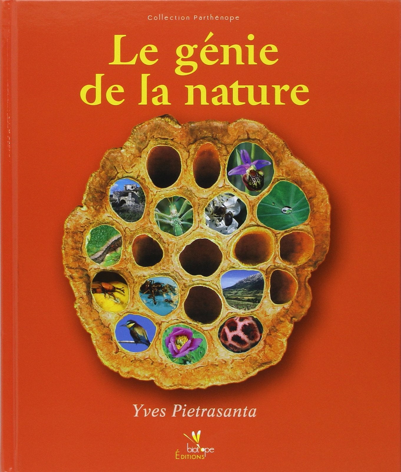 LE GENIE DE LA NATURE Leisure, Home & Garden
