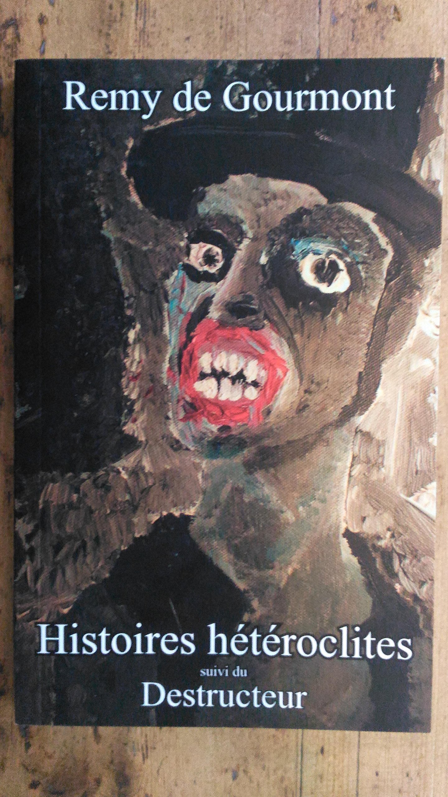 Histoires hétéroclites suivi du Destructeur book