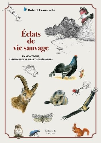 Eclats de vie sauvage: En montagne, 32 histoires vraies et stupéfiantes Books