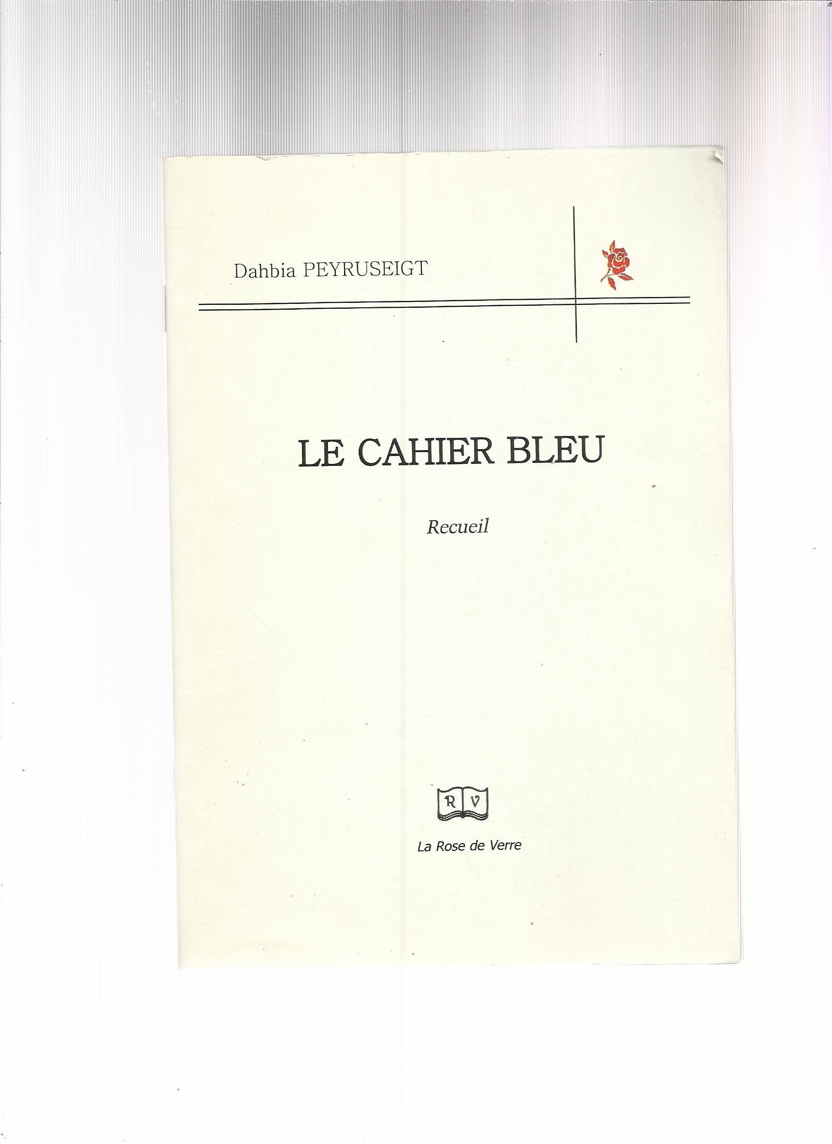 Le cahier bleu book