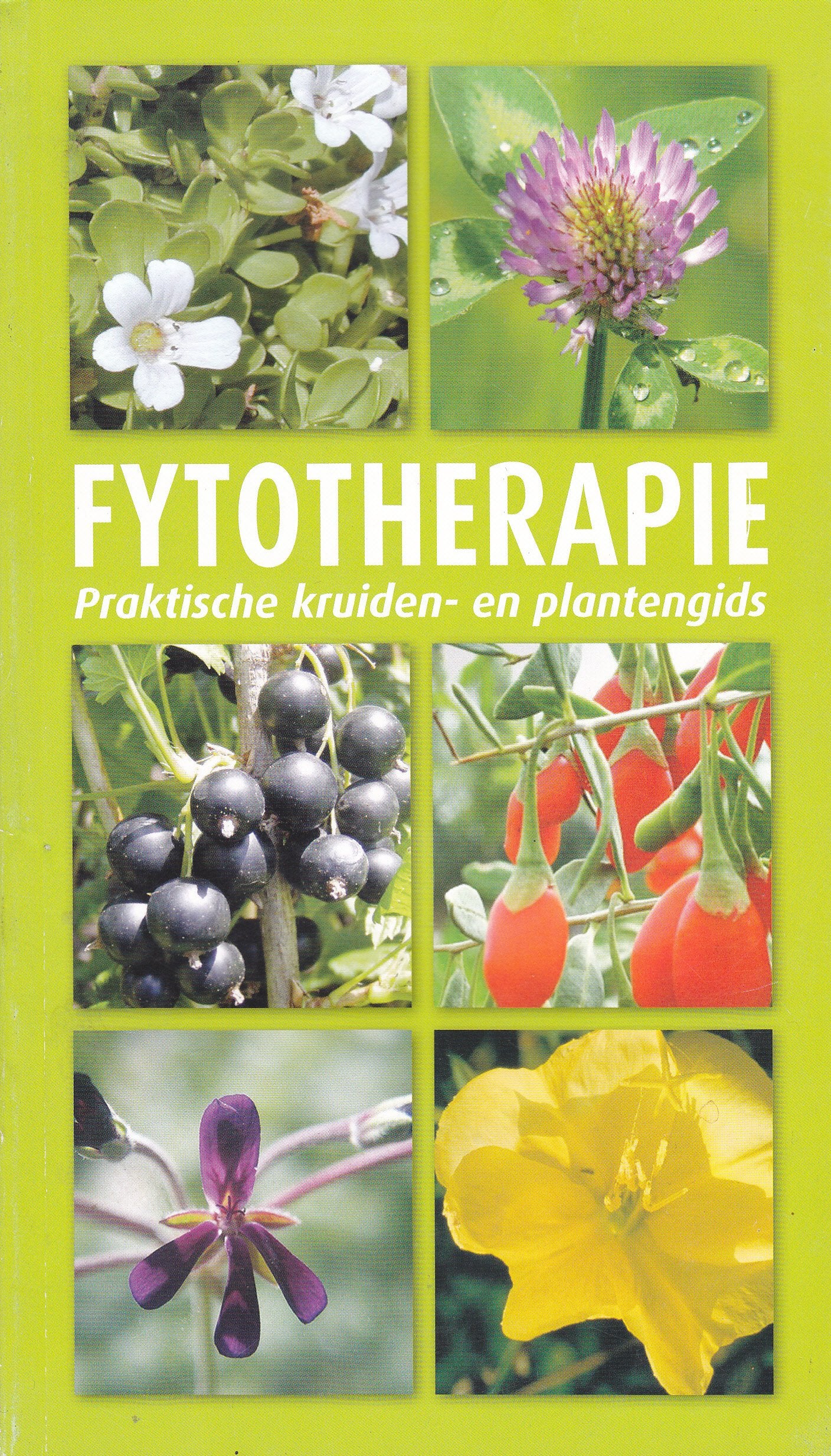 Fytotherapie / druk 1: praktische kruiden- en plantengids Self-help