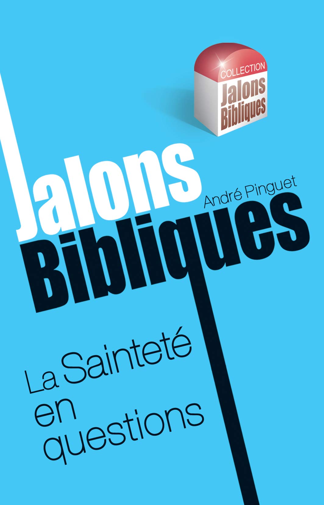 La Sainteté en questions Second hand books on Religion & Esotericism