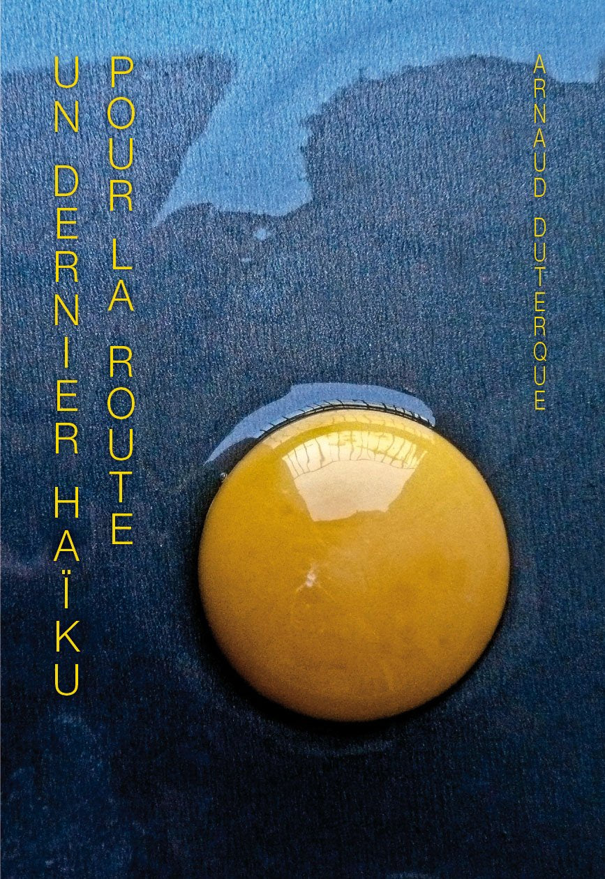 Un dernier Haïku pour la route - Arnaud Duterque book