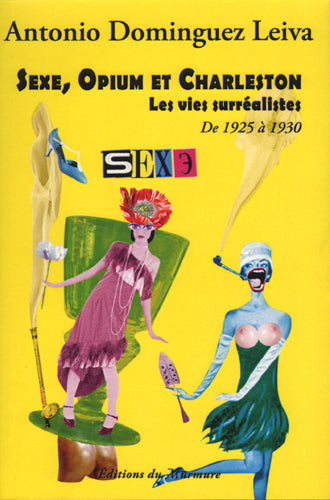 Sexe, opium et charleston : les vies surréalistes. Vol. 3 Contemporary literature