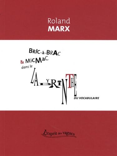Bric-à-brac et micmac dans le labyrinthe du vocabulaire book
