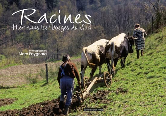 RACINES, Hier dans les Vosges du Sud book