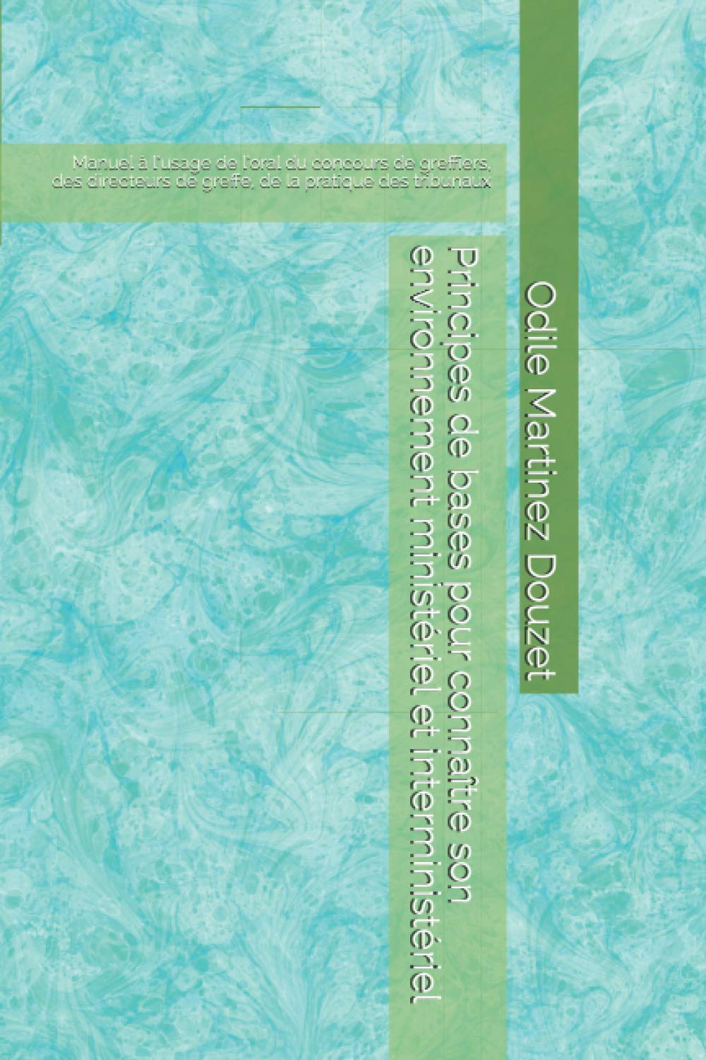 Principes de bases pour connaître son environnement ministériel et interministériel: Manuel à l’usage de l’oral du concours de greffiers, des ... de greffe, de la pratique des tribunaux Learning & Reference