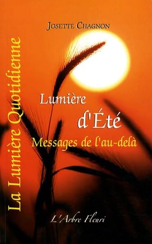 Lumière d'été, messages de l'au-delà: Tome 2, Lumière d'été Religion & Esotericism