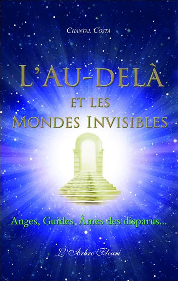 L'au-delà et les mondes invisibles : anges, guides, âmes des disparus... book
